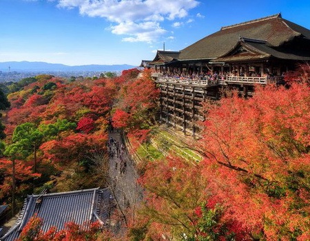 CIRCUIT LE JAPON EN LIBERTE ET NUIT ZEN A KOYASAN - 5