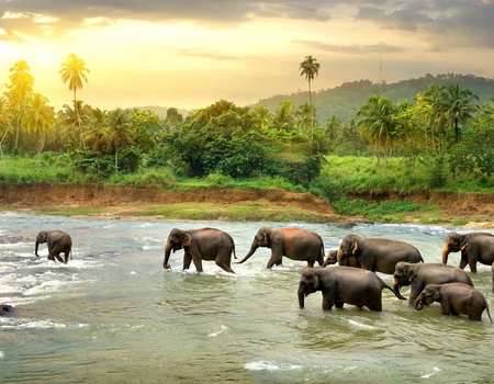 Circuit Regard sur le Sri Lanka - 1