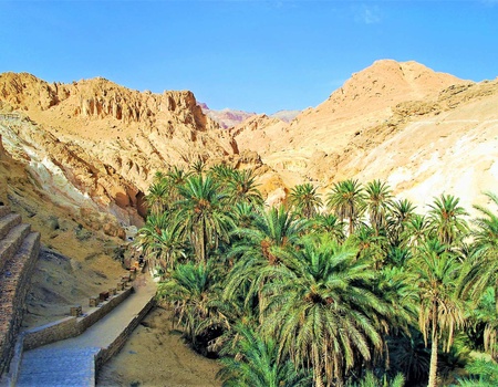 Circuit Mer & Oasis entre nous - Circuit Privatif - 4