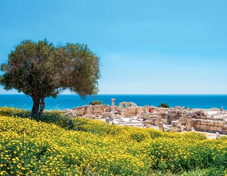 Circuit Découverte de Chypre - Départs printemps et été - 4