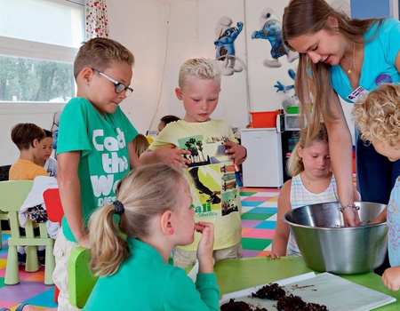 Camping Le Logis, 4* - 4