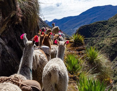 Circuit Douceurs au Pays des Incas et Séjour Nazca