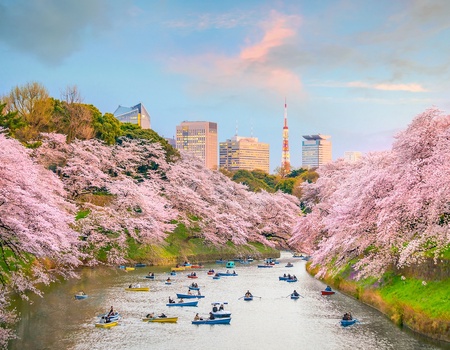 Combiné : La Grande Découverte du Japon et de la Corée en 3 semaines - STD* - 4