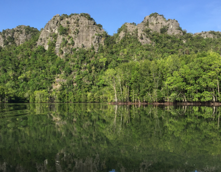 Malaisie en Liberté, Des Terres Sauvages de Taman Negara à l'île de Langkawi 4* - 1