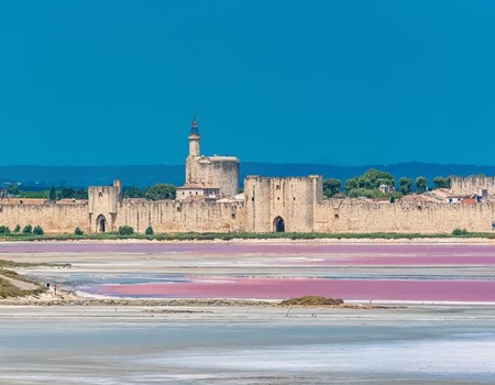 Croisière de Noël sur les canaux de Provence Escales historiques et saveurs d'antan (formule port-port) - Avignon, Sud Est - Image 4