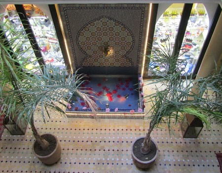 Riad Luzia