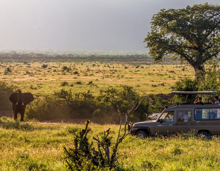 Combiné circuit et hôtel Pinewood Beach Resort & Spa 4*sup avec 3 nuits safari Tsavo et Amboseli - 2