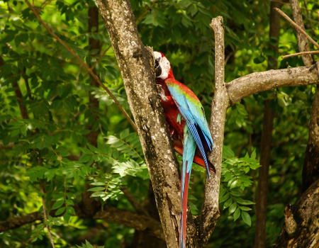 Circuit Les Incontournables de la Colombie en Privatif **Nouveauté 2026** - 5