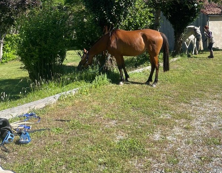 Camping La Cremade - 3
