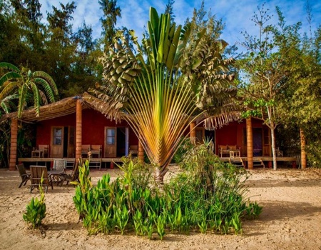 Circuit privé : Sénégal Colonial et Nature - 3