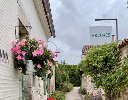 Camping Ecolodges Domaine de la Forêt - by Océan Mobilhomes, 3* - 3