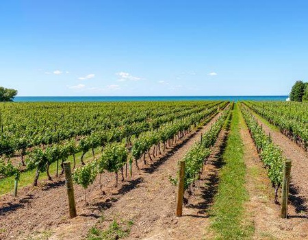 2026 - Circuit Privilège Canada arrivée Toronto - 25 personnes maximum - 4