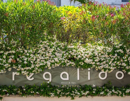 Escapade cullinaire dans un hôtel de charme près de Arles - 4* - 2