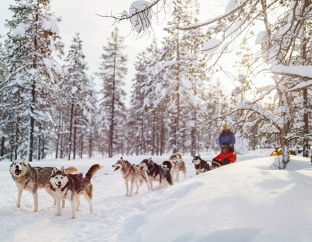 Séjour Multi-activités - 8J/7N - Naya Club Saaga - - 3