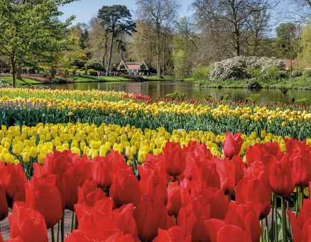 Passez la nuit dans une église typique d'Amsterdam et découvrez Keukenhof - 3* - 1