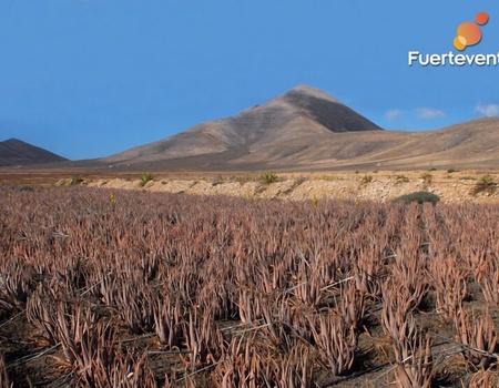 Hôtel Chatur Costa Caleta 3* - 1