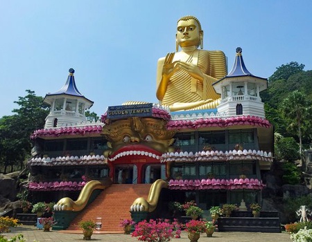 Immersion au Sri Lanka