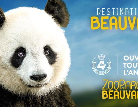 Pause bien-être et culturelle, avec entrées au zoo de Beauval incluses - 4* - 1