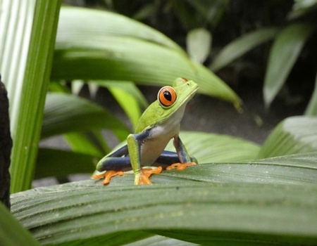 Rendez-vous en Terre Tica 2026 - San Jose, Costa Rica - Image 5