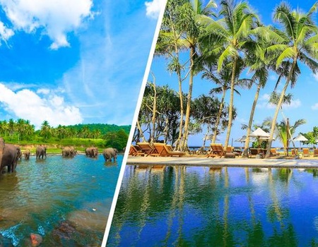 Circuit Balade Sri Lankaise privative et Oclub Experience Pandanus beach resort Spa 5* - 1