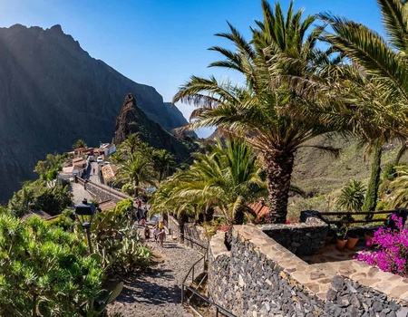 Circuit Echappée canarienne depuis l'hôtel Riu Buenavista 4* - Arrivée aéroport Tenerife Sud - 4