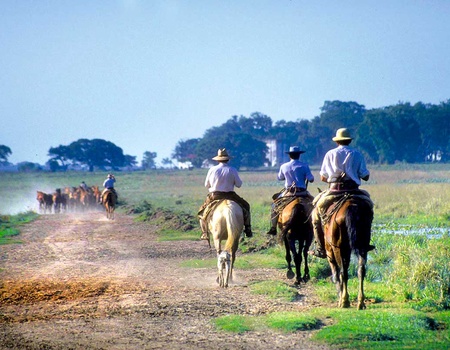 Circuit De l'Argentine au Chili et Extension Île de Pâques - Buenos Aires, Argentine - Image 5