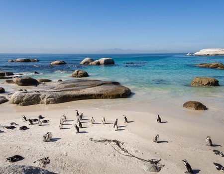 Au coeur de l'Afrique du Sud 10J/7N - 1