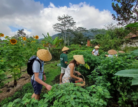 Circuit Mosaïque Balinaise en Privatif - 5