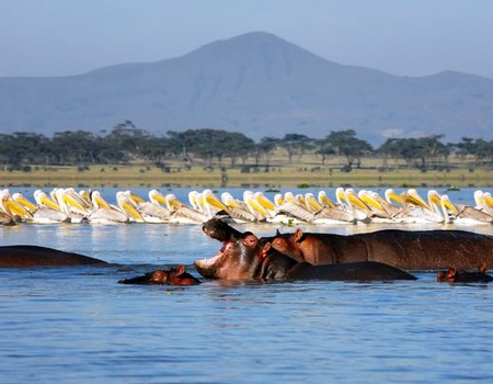 Circuit Merveilles du Kenya Samburu