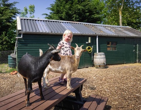 Camping Marvilla Parks Friese Meren, 4* - 3