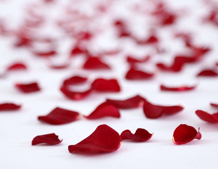 Week-end Saint-Valentin 2026 à Calais avec dîner Romantique - 4* - 1