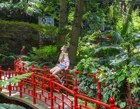 Circuit Echappée Jardins de Madère depuis le depuis le Next By Savoy Signature 4* - 1