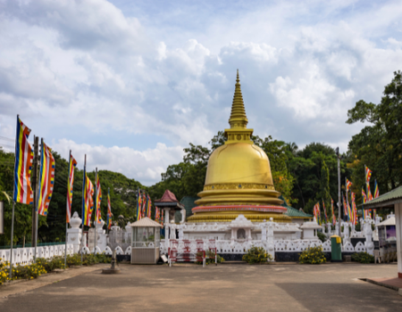 Circuit Des merveilles du Sri Lanka aux plages de Bentota 4* - 3