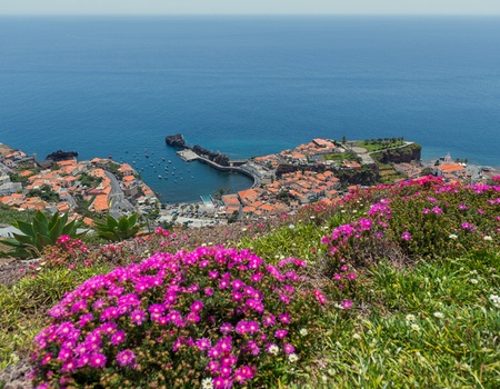 Au coeur de Madère - Logement en hôtel 5* à Funchal - Flex - Madère - 3