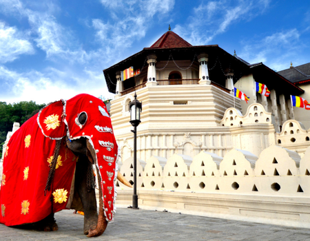 Circuit Découverte du Sri Lanka - 1