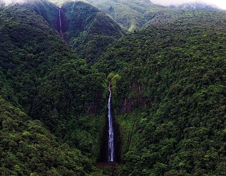 Découverte de l'Archipel Guadeloupéen - 5
