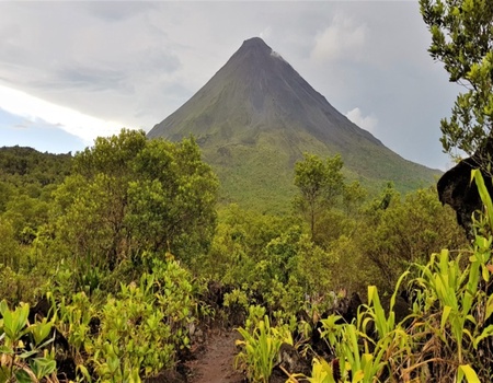 Les Trésors du Costa Rica + Ext Tortuguero 2026 - Image 3