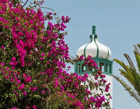 Hôtel Casas heddy 3* - 4