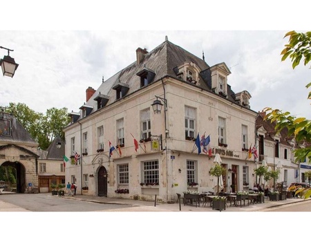 Charme et tranquilité près de Chinon - 3* - 2