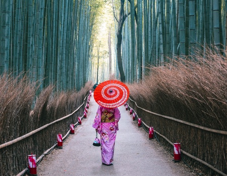 Evènement : Hanami, le réveil des cerisiers - Japon, Asie - Image 2