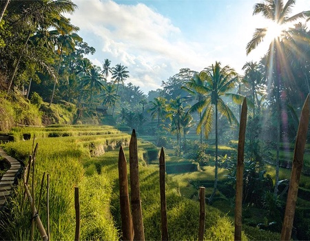 Combiné Sthala Ubud 5* + Oclub Select Merusaka 5* - 3