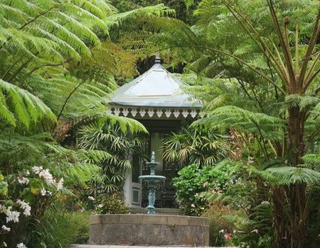 Circuit La Réunion intimiste - 4