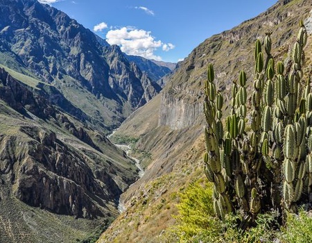 Immersion au Pérou 14J/12N - 2026 - 5