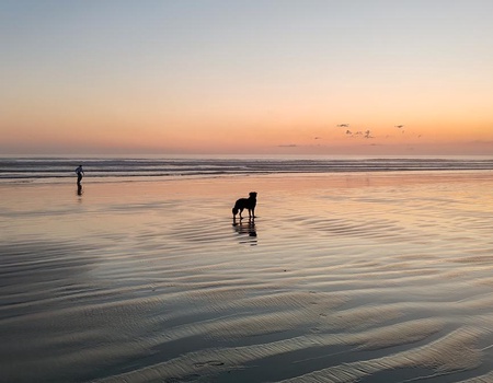 Camping Les Peupliers 3* - 5