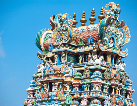 Couleurs de l'Inde du Sud : Temples, thé et traditions - Chennai, Inde - Image 2