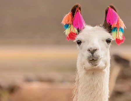 Pérou et Bolivie, Terres des Incas - 4