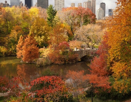 La Big Apple 4 Nuits - New York, Etats-Unis - Image 5