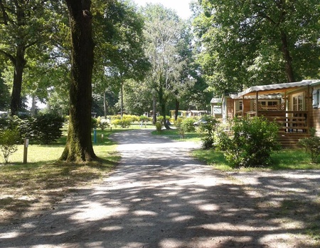 Camping OAKi, 3* - 2