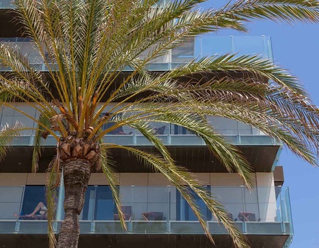 Hôtel Eden Palma Playa 3* - Image 5