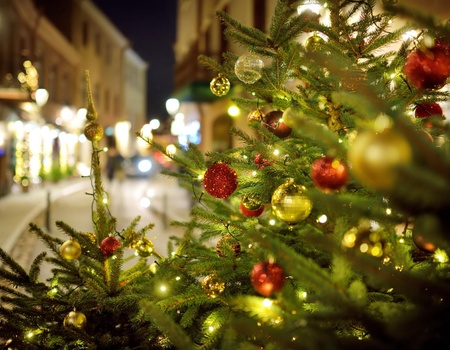 Marchés de Noël à Vilnius 4J/3N - Vilnius, Lituanie - Image 5